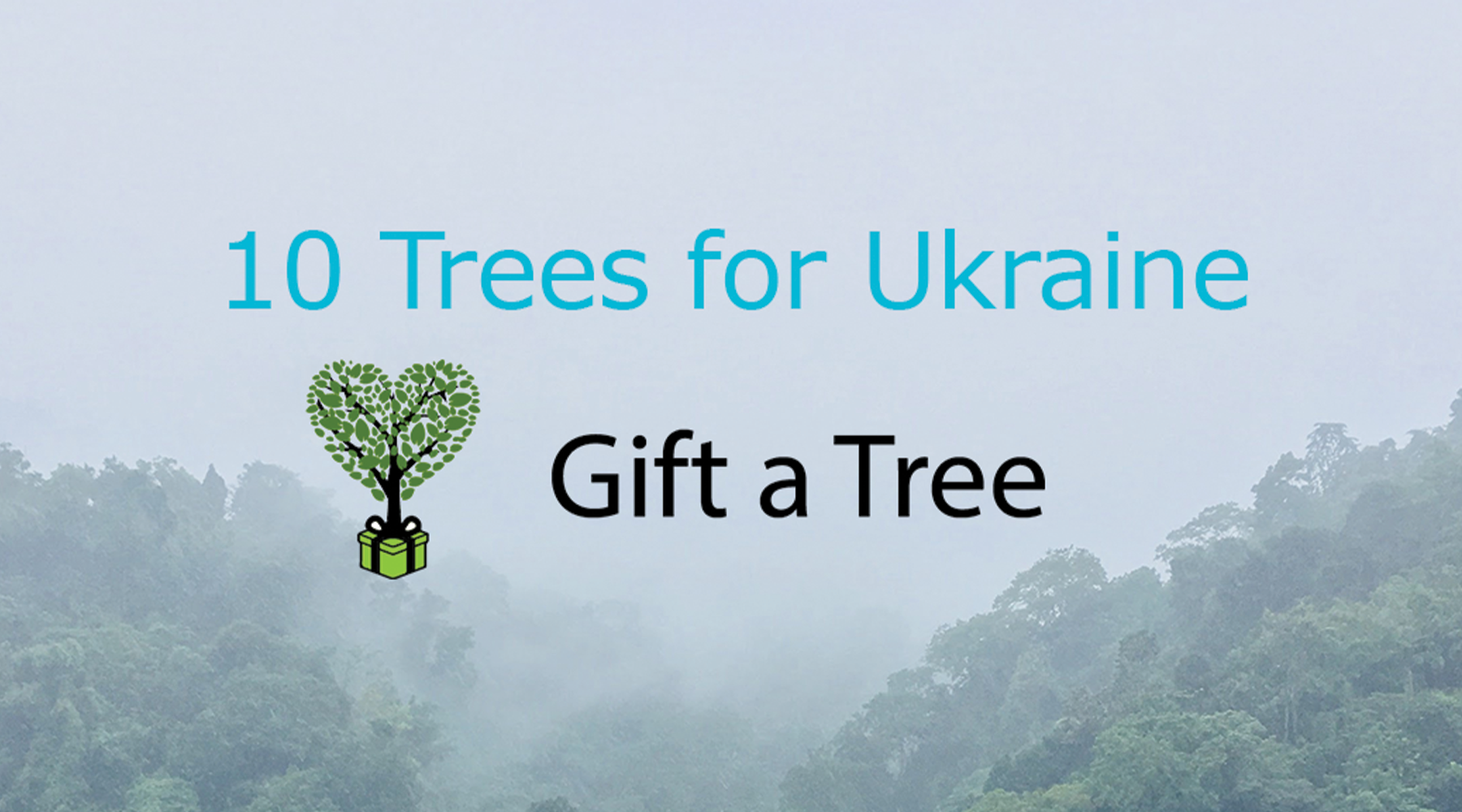 SA LAW Plant 10 native trees in Ukraine on behalf of Kestronics